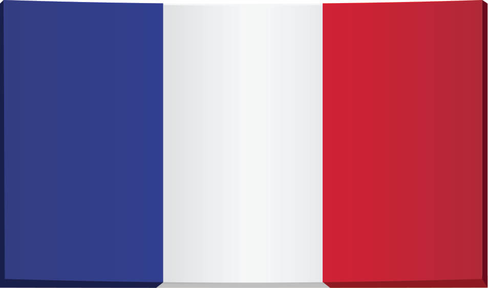 prevod na francuski jezik